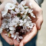 Joy Comes from Giving