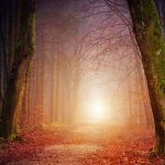 The Healing Journey
