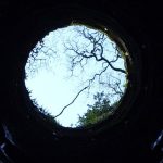 Revisiting Suicide: Technique for Self-Healing