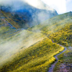 Choosing Ascension: An Introduction to the Spiritual Path